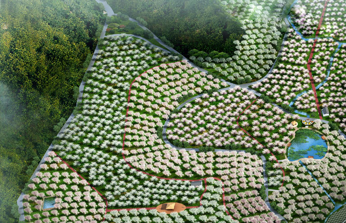 1512443453180046298.jpg 6.jpg