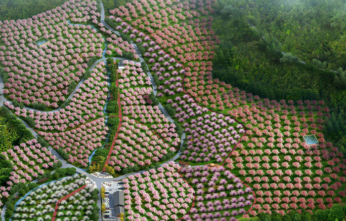 1512443753259036343.jpg 9.jpg