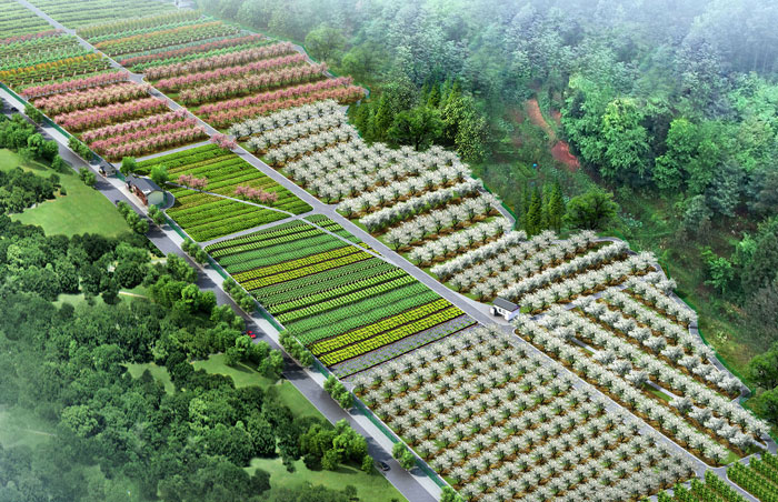 1512443826545029357.jpg 12.jpg