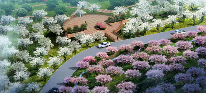 1512443920943011150.jpg 17.jpg